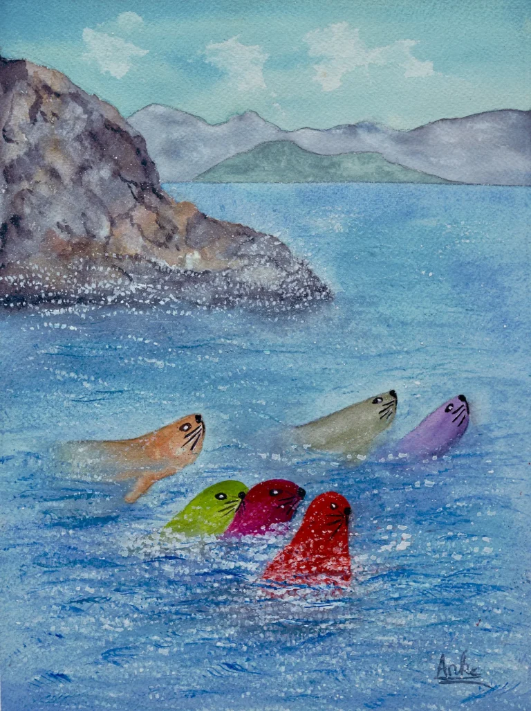 A Splash of Seals
